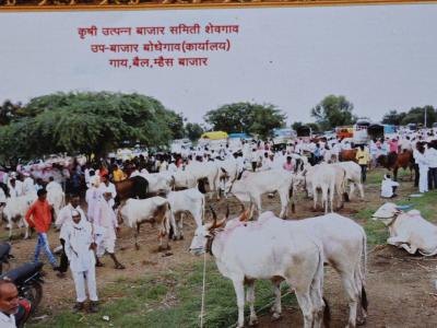 Gayabailamhaisa Bajara Upabajara Bodhegava